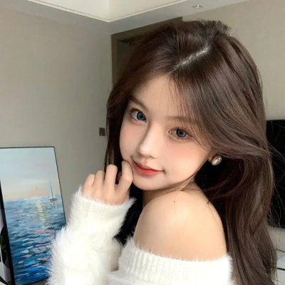 盗贼生涯